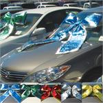 Shiny Giant Car Bow