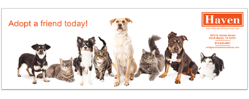 Magnetic Bumper Sticker - #1142 - 3'' x 9'' - Rectangle