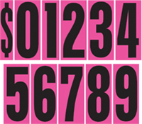 9 1/2 Inch Tall Hot Pink Starter Kit