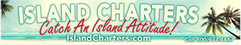 Bumper Stickers - #434 Full Color - 2 3/4