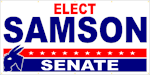 Democrat Banner - Design PSSW22